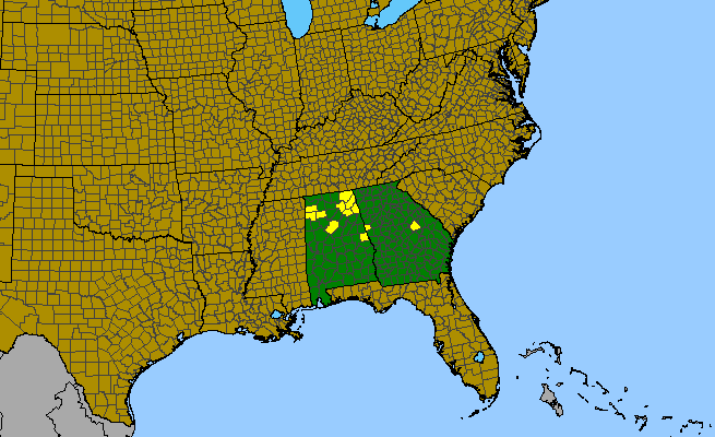 The range of Cuscuta harperi